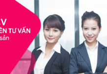 Mẫu CV nhân viên Tư vấn Bất động sản