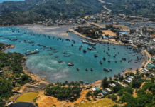 việc làm Ninh Thuận