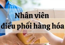 Nhân viên điều phối hàng hóa là gì? Mô tả công việc điều phối hàng hóa nhân viên điều phối hàng hóa là gì