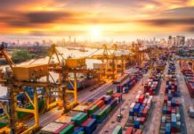 nhân viên khai báo hải quan làm gì