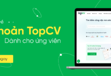 tai-khoan-topcv-danh-cho-ung-vien-0