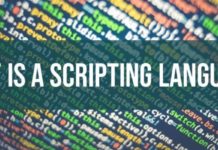 script là gì