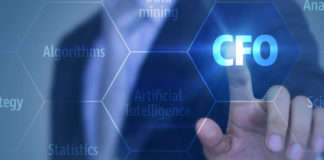cv giám đốc tài chính
