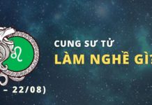 Cung Sư Tử làm nghề gì hợp nhất? Giải đáp chi tiết nhất nay