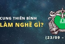 Người thuộc cung Thiên Bình làm nghề gì phù hợp nhất?