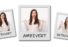 Ambivert là gì? Người nhóm tính cách Ambivert nên làm công việc gì? Ambivert là gì? Người nhóm tính cách Ambivert nên làm công việc gì?
