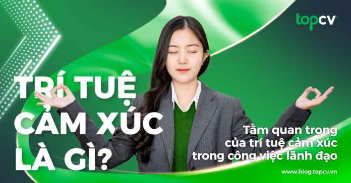Trí tuệ cảm xúc là gì? Tầm quan trọng của trí tuệ cảm xúc trong công việc lãnh đạo